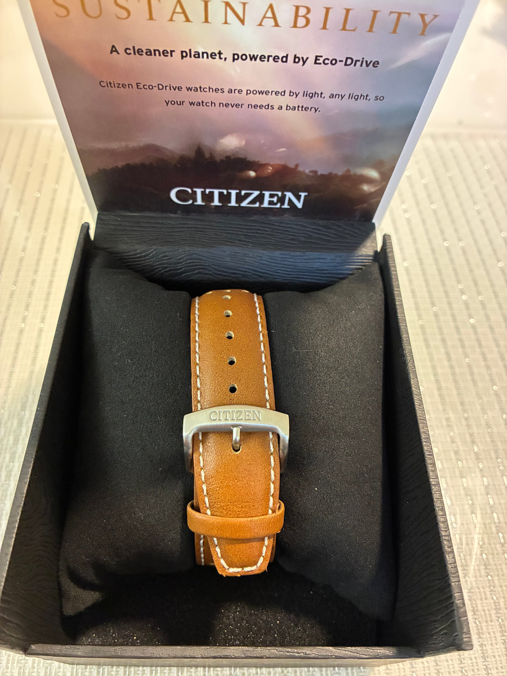 Citizen Men's Chronograph Eco-Drive Stainless Steel Watch CA4500-08X